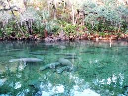 Blue Springs State Park