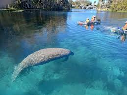 Epic Paddle Adventures