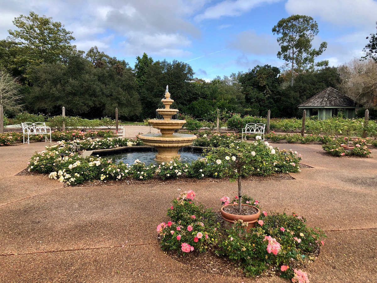 Harry P. Leu Gardens