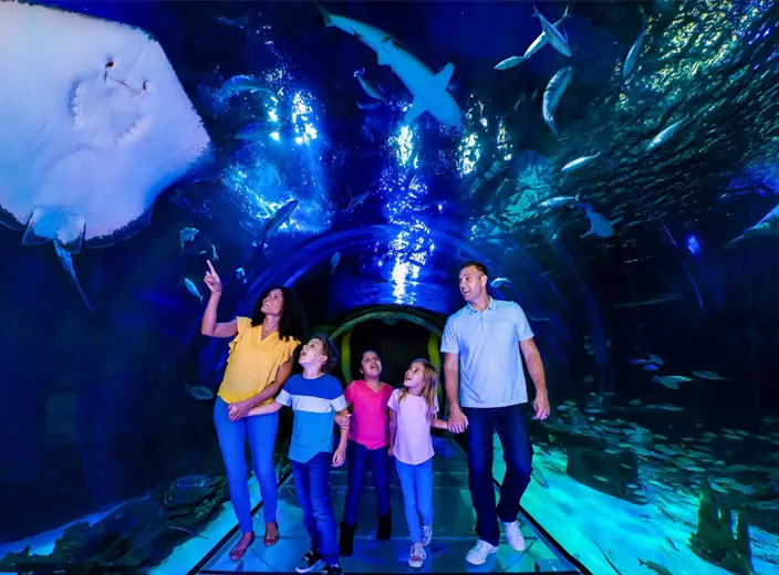 SEA LIFE Aquarium