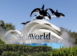 Orlando with Grandparents and Grandkids: A Slower Family Trip Plan