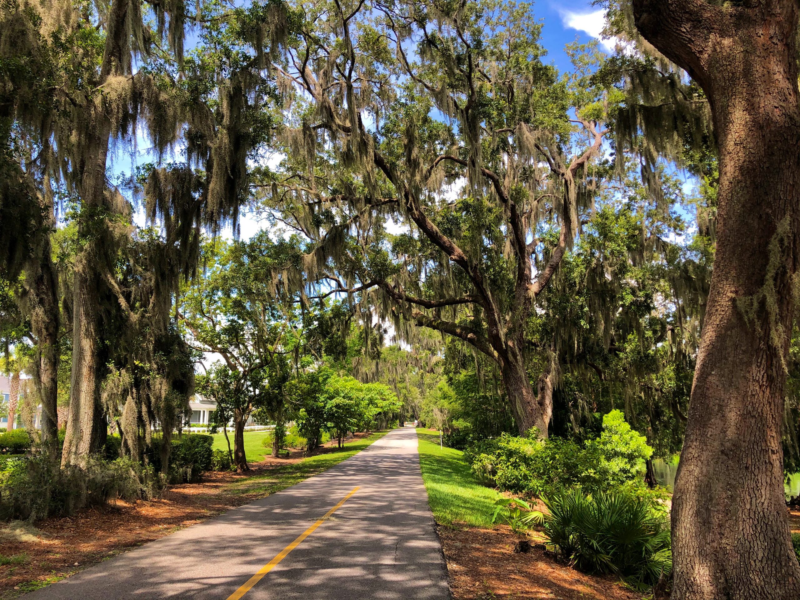 West Orange Trail