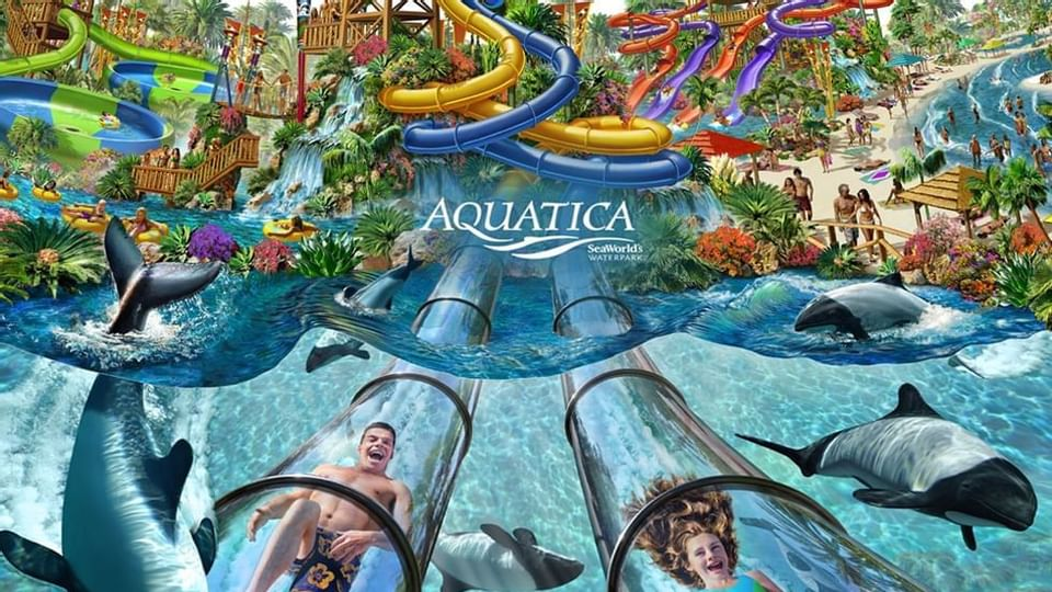 Aquatica Orlando
